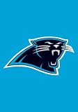 Carolina Panthers Garden Flag