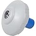 Intex Pools Small Wall Fitting with Return Assembly
