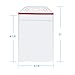 10 Pack Vertical Extra Thick Clear ID Badge Holder Card Holder with Resealable Zip for Multiple Cards (Vinyl PVC) by Wisdompro - Red Zip (4-1/8