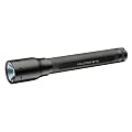 LED Lenser 8406TP P6 Torch (Test It Pack) - Black