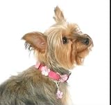 Designer Leather Dog Collar - Soho Retro Hot Pink / Baby Pink Flowers - X - Small (XS)
