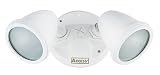 Outdoor Duopoint Security Spotlight