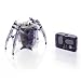 HEXBUG INCHWORM PLUM HEX BUG