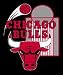 Chicago Bulls 50x60 Royal Plush Raschel Throw Blanket