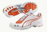 Puma Ballistic Rubber Studs Cricket Shoes