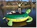 13' Turtle Padded Water Bouncer