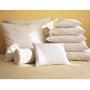Pacific Coast 16" x 16" Optima Supreme Polyester Feather Pillow Form (Set of 2)
