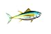 Tuna Sport Fish Trailer Hitch Cover By SoCal Fishheads