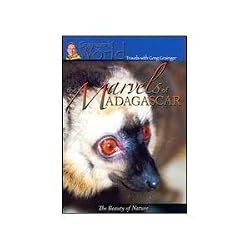 The Marvels Of Madagascar