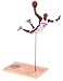 McFarlane Toys NBA Sports Picks Series 1 Action Figure Vince Carter (Toronto Raptors) White Jersey_s-2