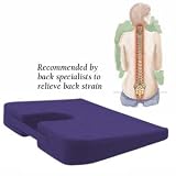Seat Support Cushion (A1003)