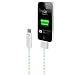 Dexim DWA063-WE Visible Green Smart Charge & Sync Cable for iPhone, iPod touch & iPad (White/Green)