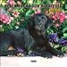   - Black Labrador Retriever Puppies 2008 Mini Wall Calendar - Dog Calendars