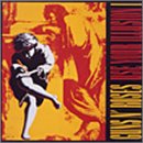 Use Your Illusion I