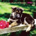 German Shepherd Puppies 2009 Mini Wall Calendar
