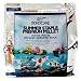 310AMcN3CjL. SL75  What to be aware when buying your first koi