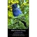 Birds of Lane County, Oregon