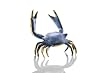 Blue Crab Paperweight (desk sculpture)