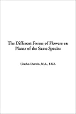 Cover for 9781404301382
