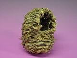 Pet Supplies : MED GRASS FINCH NEST 12