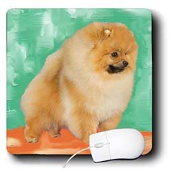 image link - - B002I85VPQ