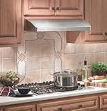 Review Broan  / Broan Elite Series E66130BL Under Cabinet Range Hood with 550 CFM Internal Blower, Three-Speed Control & Dual 50-Watt Halogen Lighting: 30 Inch/ Black