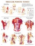 Trigger Point Anatomical Chart Set Laminated-TRPCL