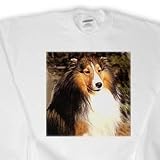 Dogs Sable Border Collies - Sable Border Collie - Sweatshirts