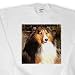 Dogs Sable Border Collies - Sable Border Collie - Sweatshirts