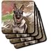 Dogs German Shepherd - German Shepherd - Coasters