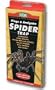 Spider Trap
