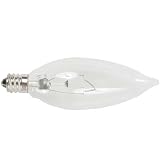Speedotron 60 watt Modeling Lamp for the MW3R Light Unit.