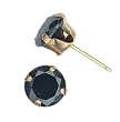 Sterling Silver Gold Plated Stud Earrings with Black CZ- Round Stamping - 8 mm