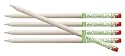 Watermelon Smencil (Refill Pack of 5)