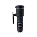 �V�O�} 500mm F4.5APO EX DG HSM �L���m���p