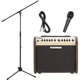 Fishman Loudbox