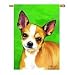 chihuahua28 - Chihuahua Banner