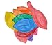 10 Riesenballons Pastell Farben buntmix 36