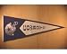 Dallas Cowboys NFL Classic Wool Pennant