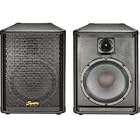 Click here to buy Squier 10 2-Way PA Speaker by Fender.