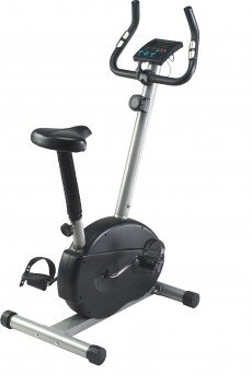 Marcy Ascot Cycle