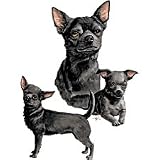 Black Chihuahua Adult T-Shirt
