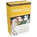 Kitchen & Housewares : Contech WaterDog Automatic Outdoor Pet Drinking Fountain (14")
