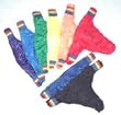 Pride Swim Thong (Click for more colors)