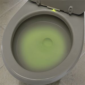 Johnny Light - Toilet Light