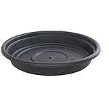 Bloem SDC16-00 Dura Cotta Plant Saucer, 16-Inch, Black