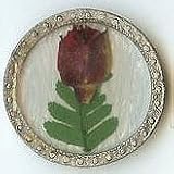 Carol Beach Knob, Brown Flower w/Leaf, 1 3/8''