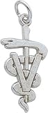 Veterinarian Charm by Rembrandt Charms