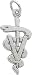 Jewelry : Veterinarian Charm by Rembrandt Charms