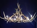 Antler Deer Lighting - 10 Lite Oval Elk-Mule Deer Chandelier